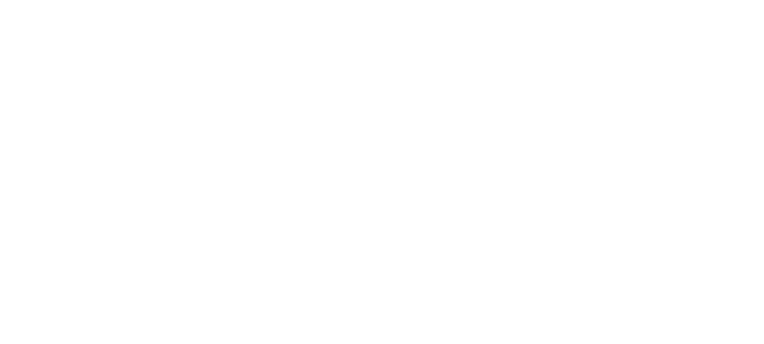 Wizcraft Network Logo